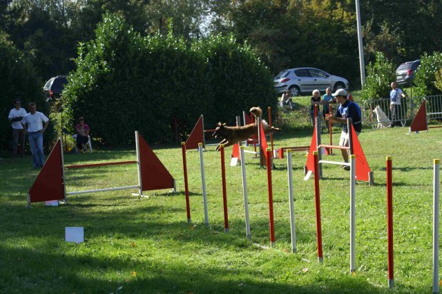 agility verriere 2011-10-01